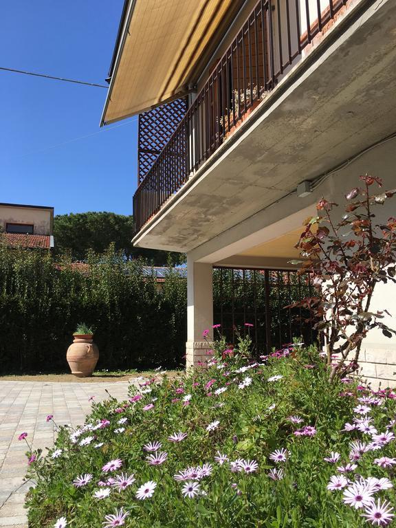 La Casa Di Nila Pisa Exterior foto